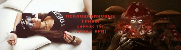 индика Аркадак