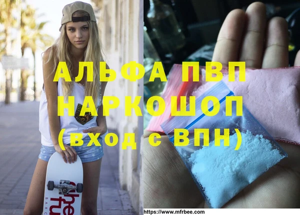 индика Аркадак