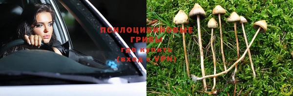 ПСИЛОЦИБИНОВЫЕ ГРИБЫ Арсеньев