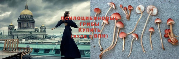 ПСИЛОЦИБИНОВЫЕ ГРИБЫ Арсеньев