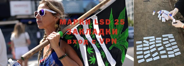 индика Аркадак